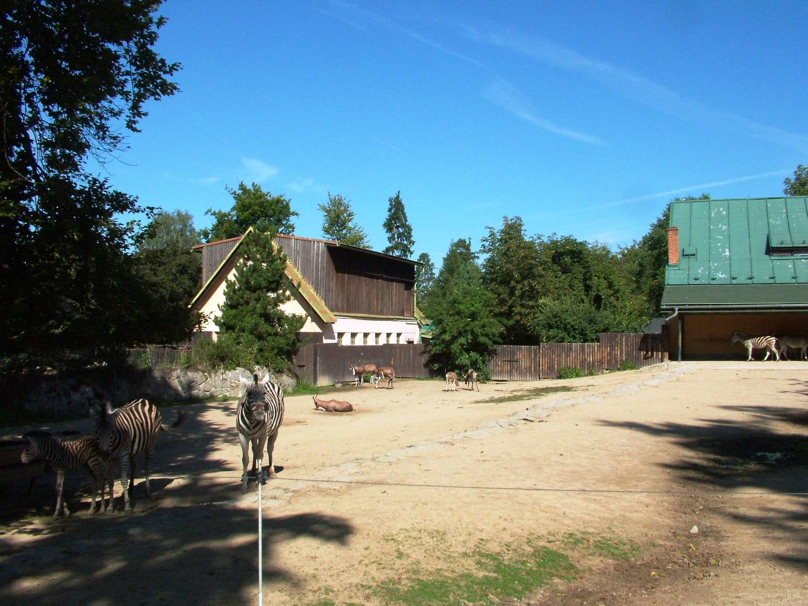 Zebra/Antelope Paddock at Liberec, 28/08/12