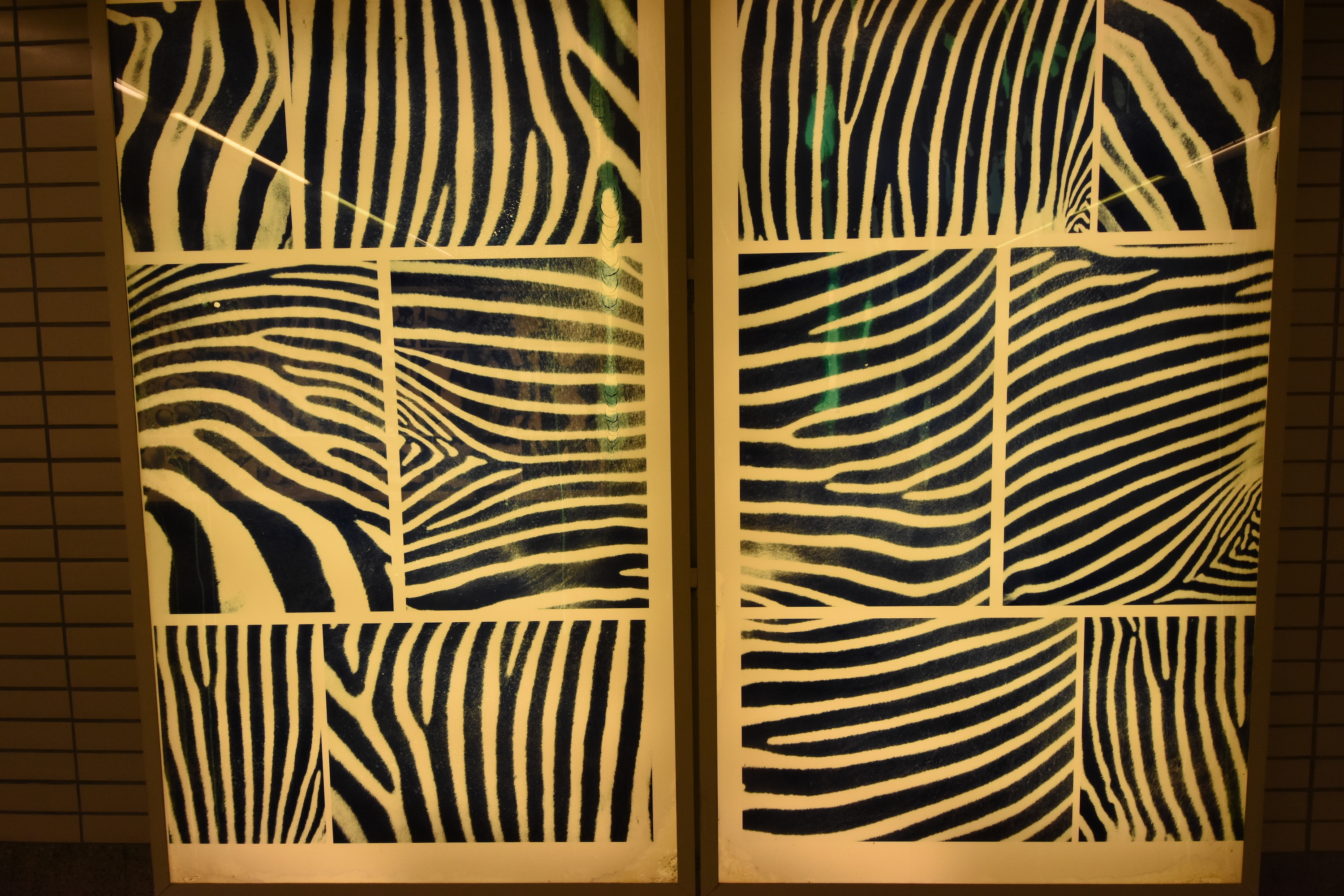 Zebra art in the metro station