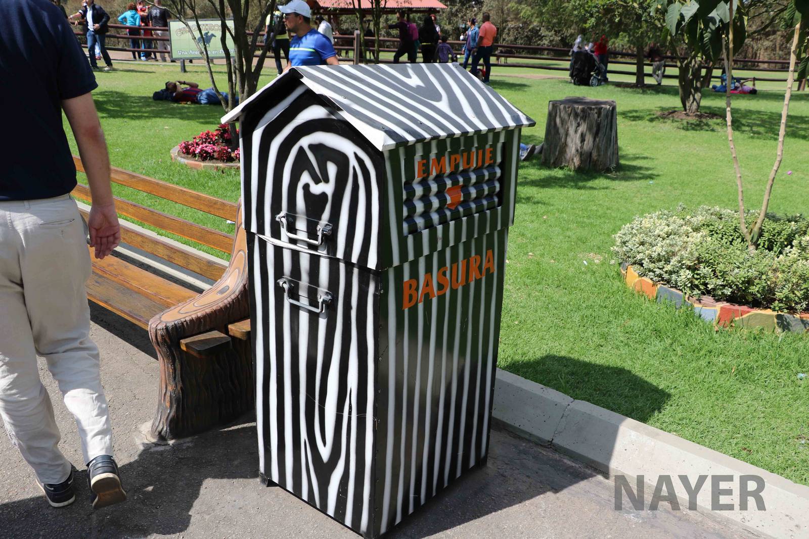 Zebra bin, March 2016