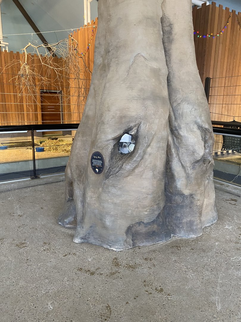 Zebra Building - African Spiny Mice Exhibit