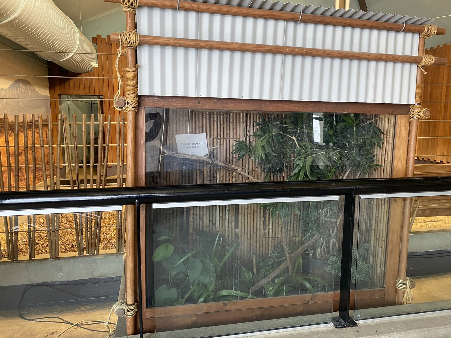 Zebra Building - Chameleon(?) Exhibit