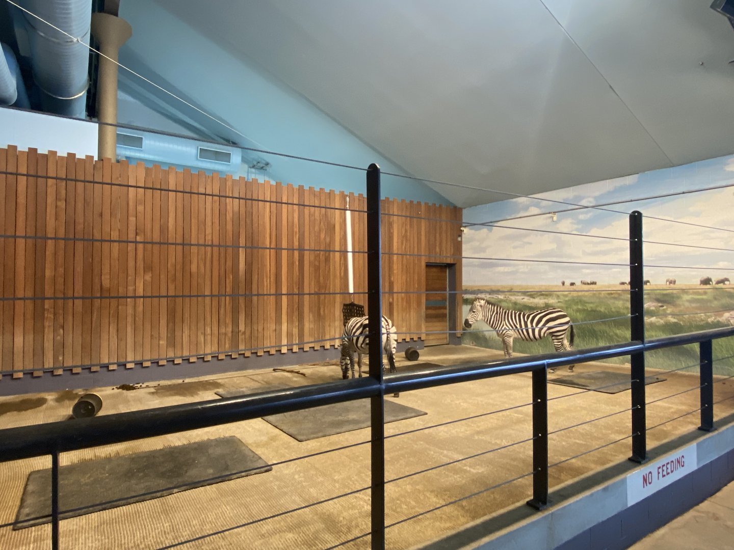 Zebra Building - Indoor Grant’s Zebra Exhibit