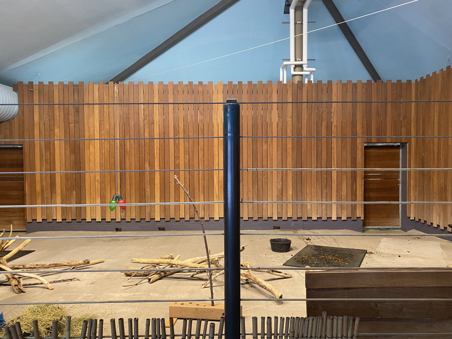 Zebra Building - Indoor Leaser Kudu Exhibit