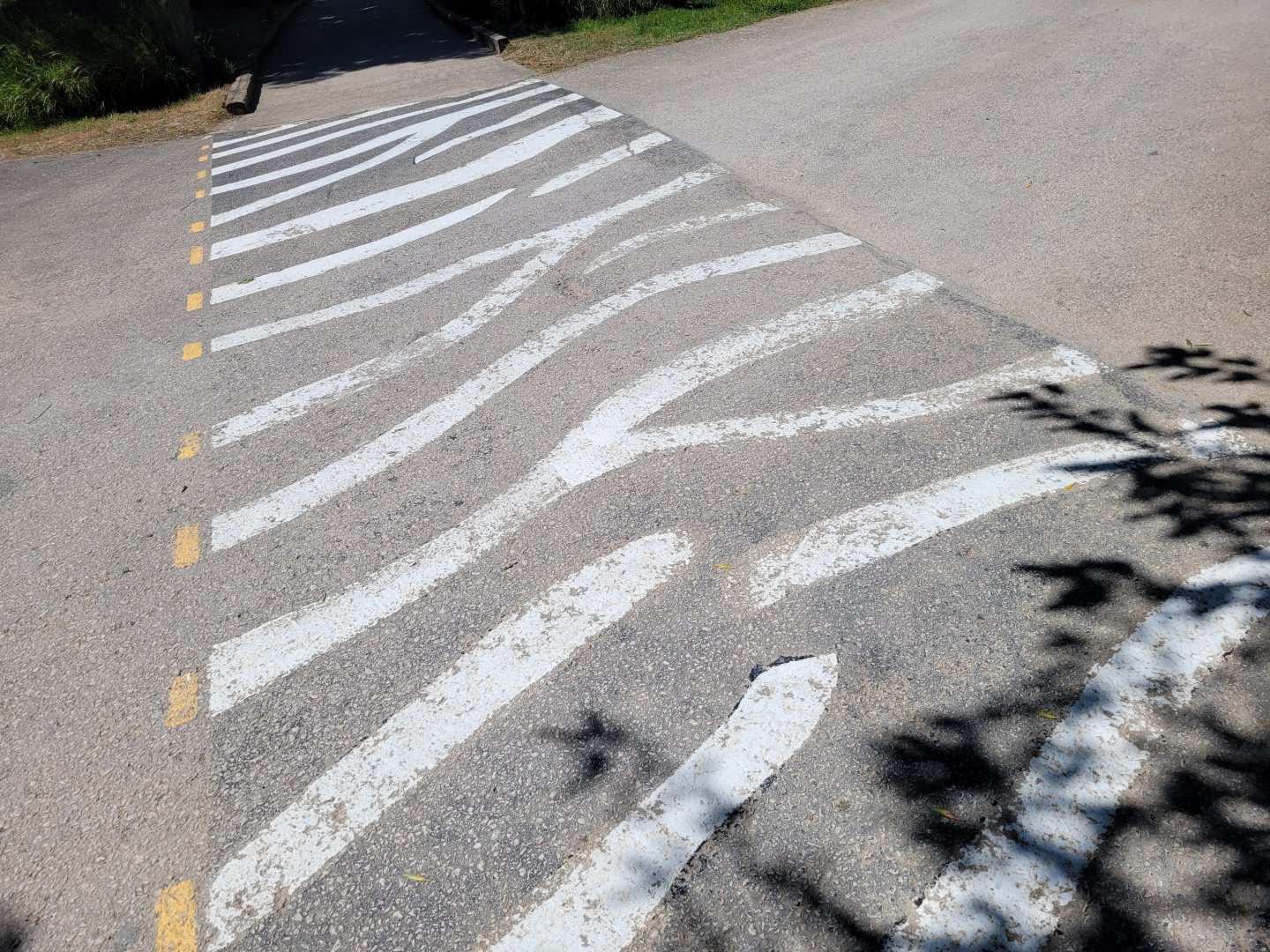 Zebra crossing -Sendaviva (2024)