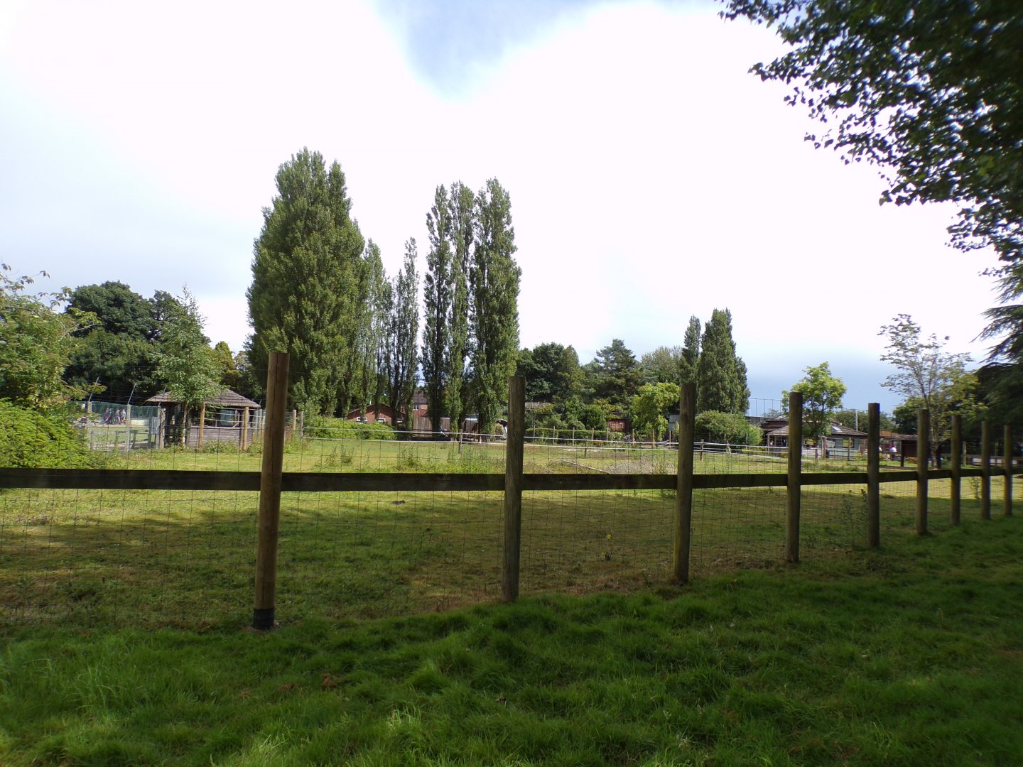 Zebra enclosure 7.7.24