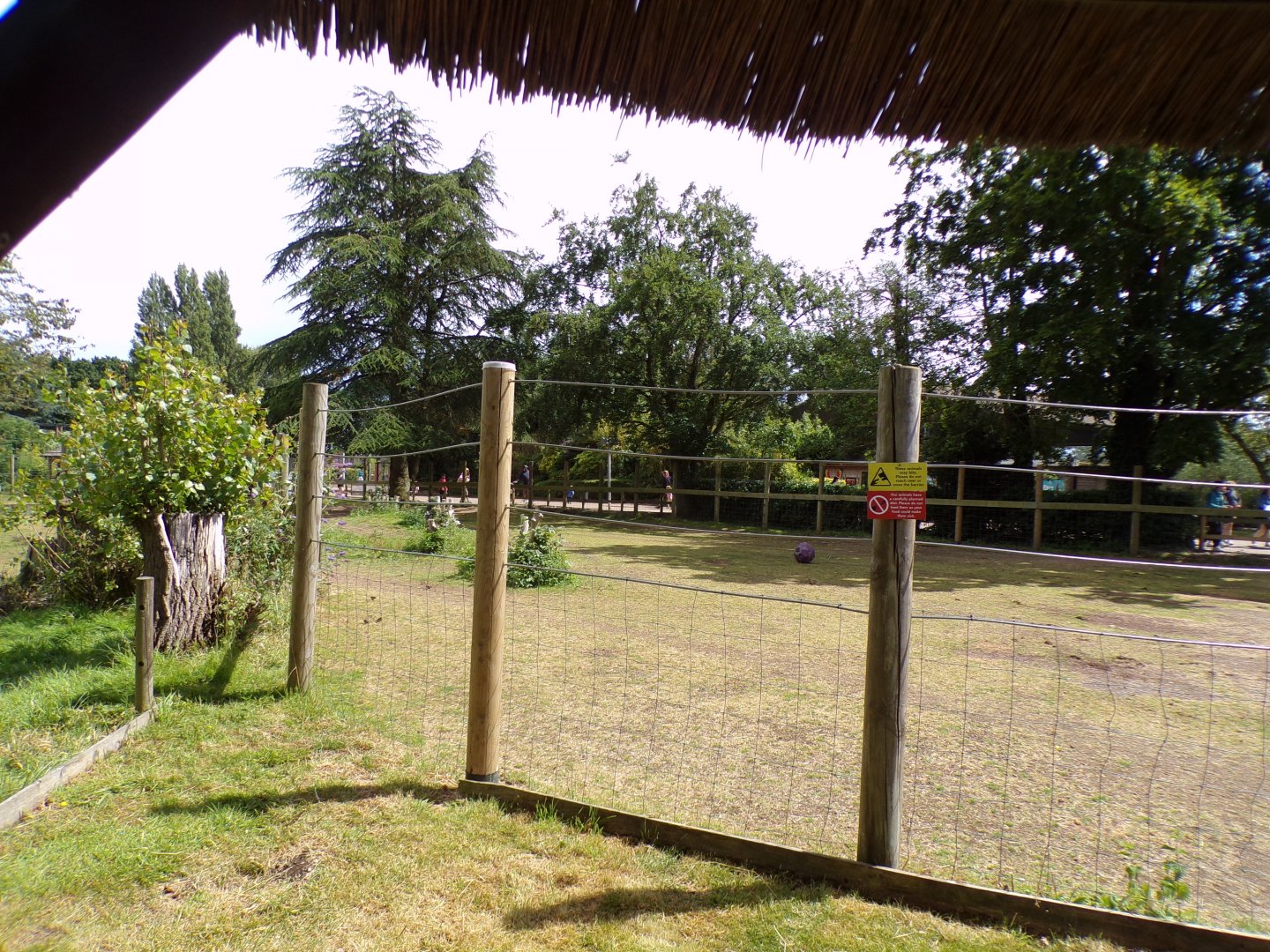 Zebra enclosure 7.7.24