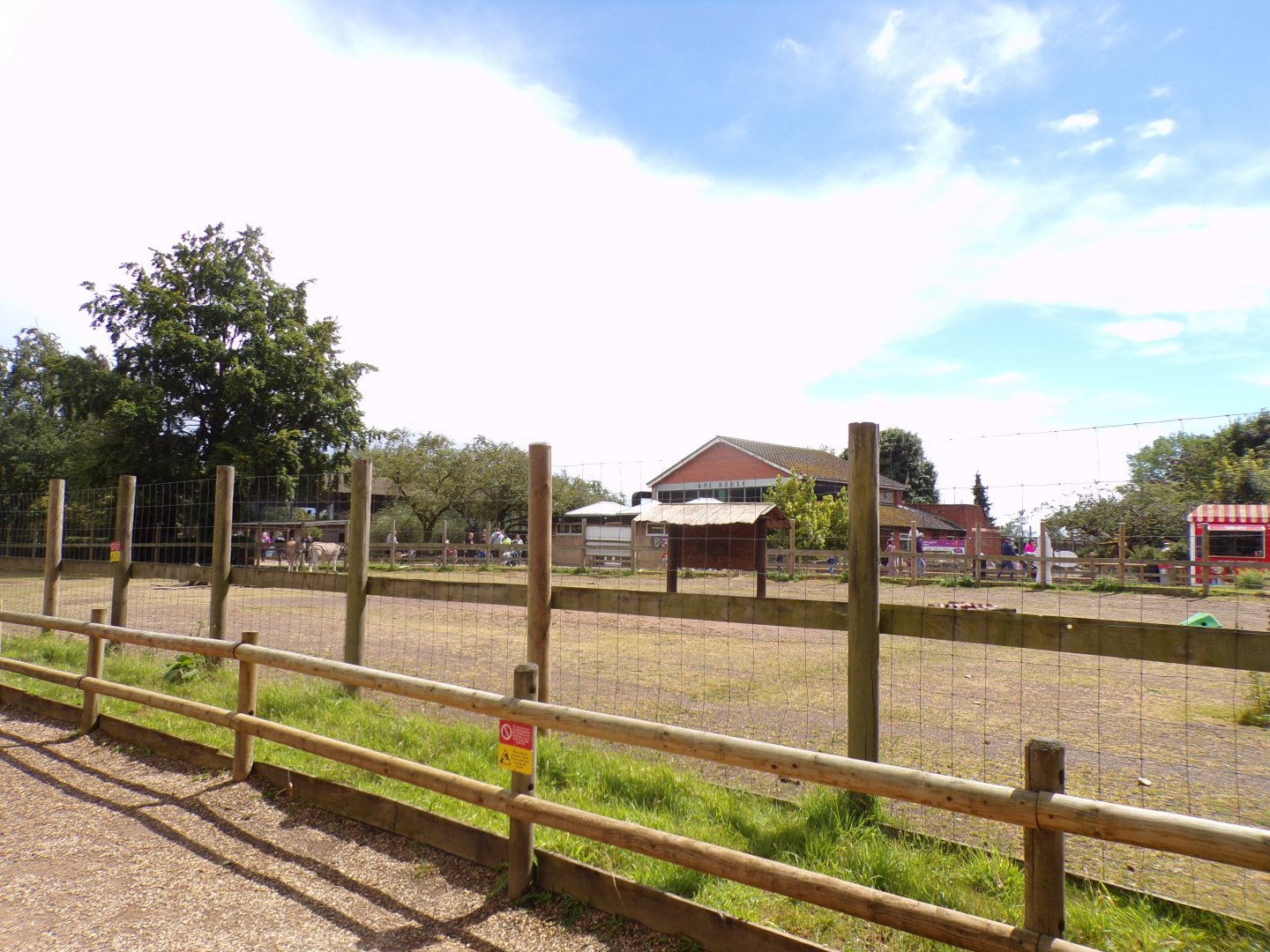 Zebra enclosure 7.7.24