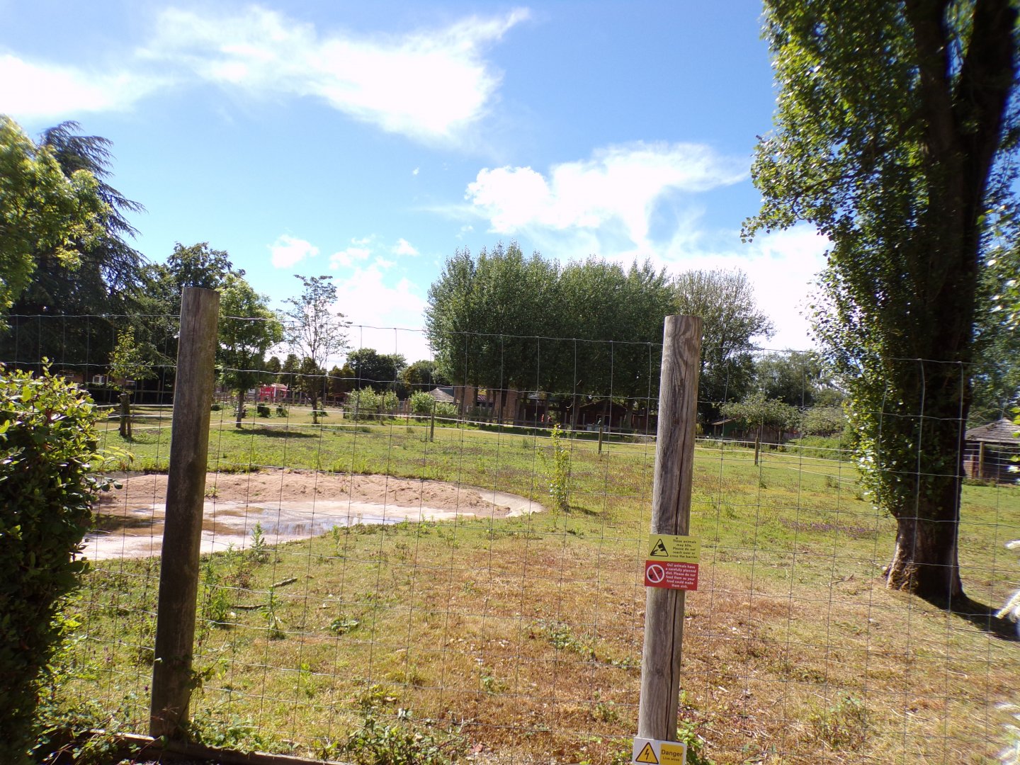 Zebra enclosure 7.7.24