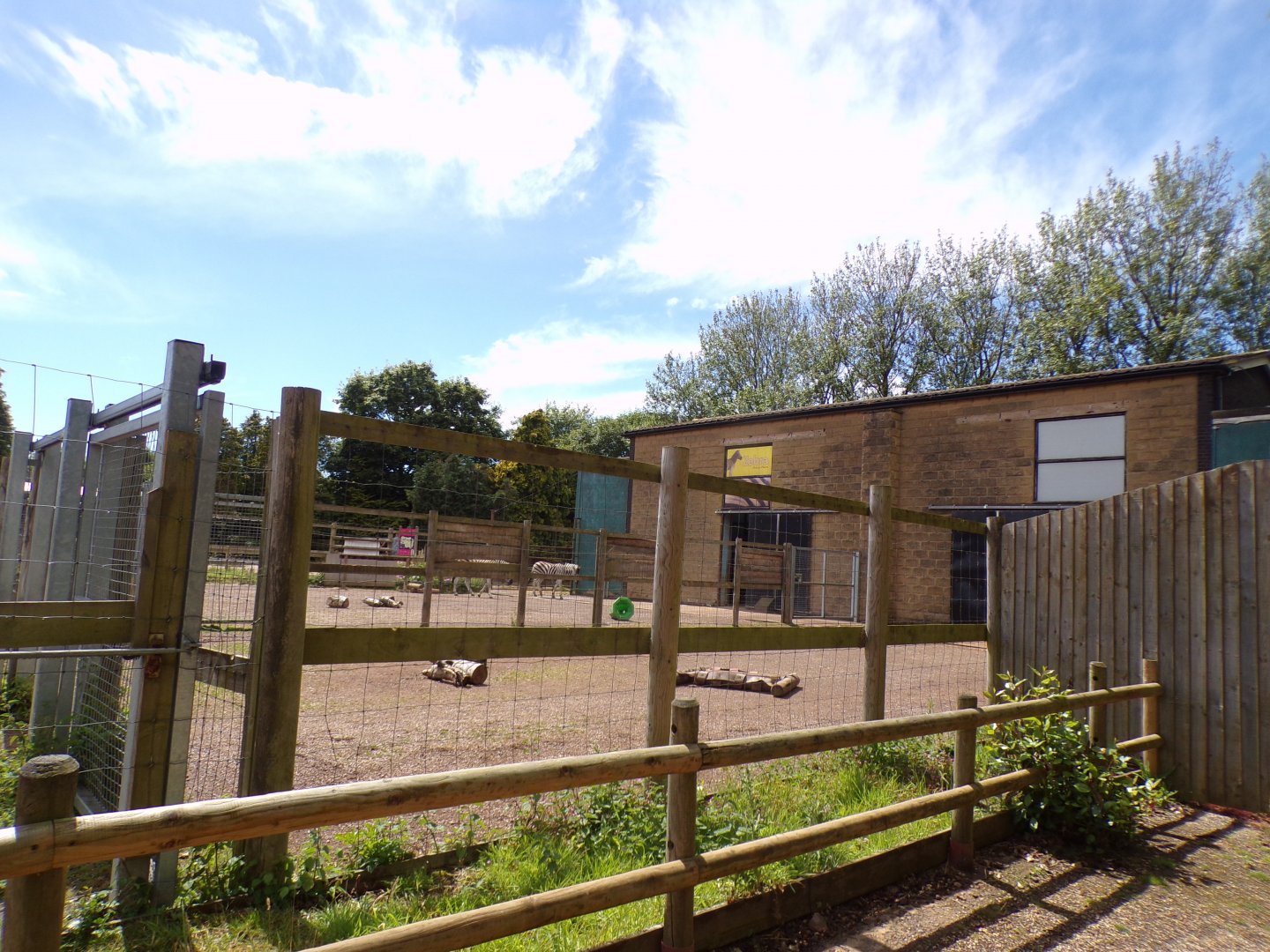 Zebra enclosure and old giraffe house 7.7.24