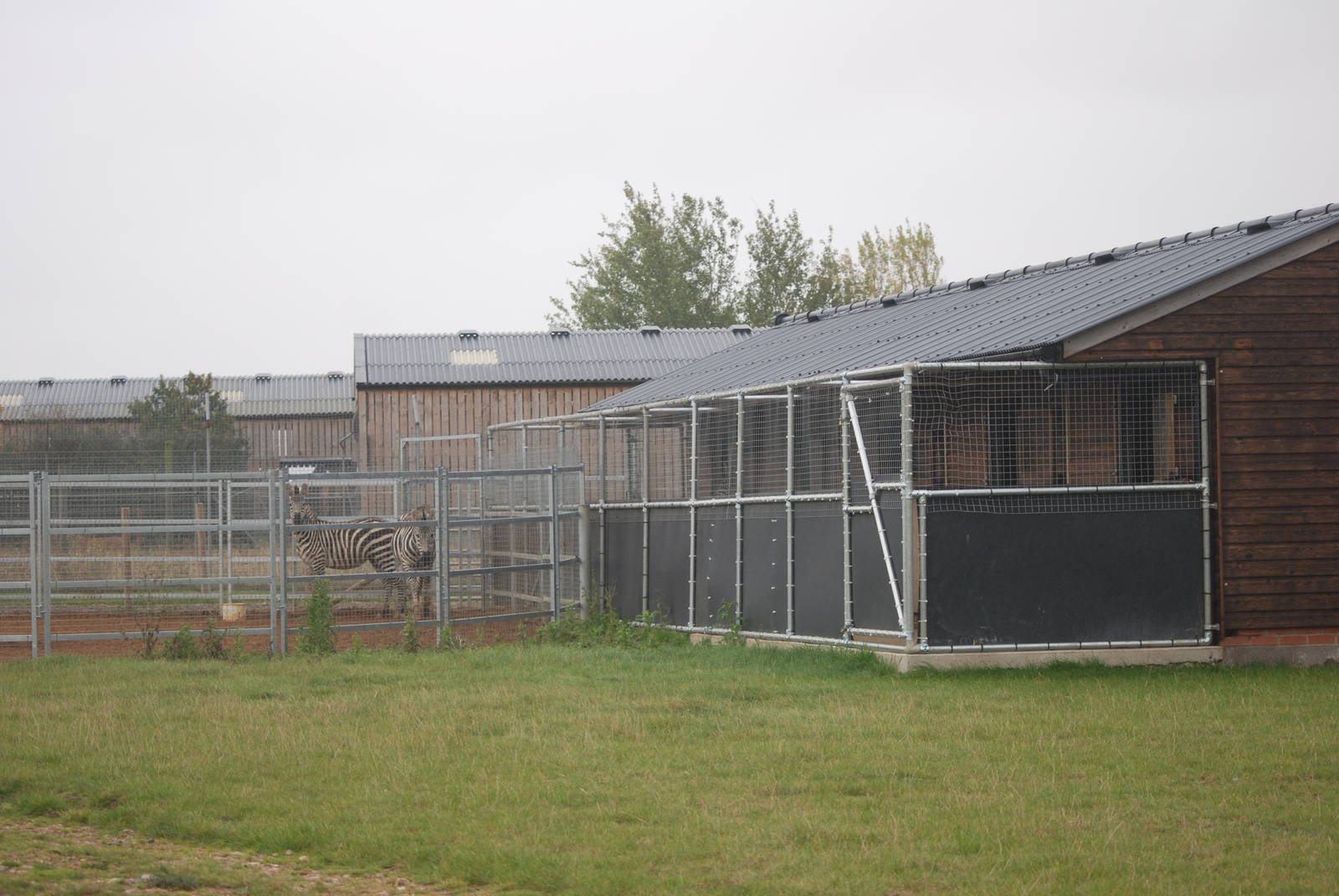 Zebra Enclosure at Hamerton, 08/10/11