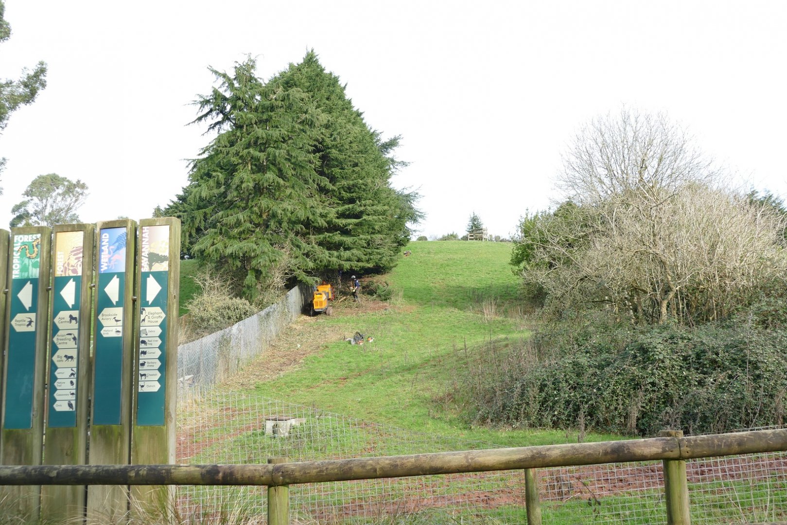 Zebra enclosure, January 2019