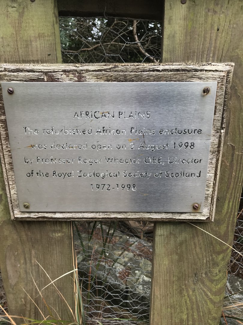 Zebra enclosure opening date