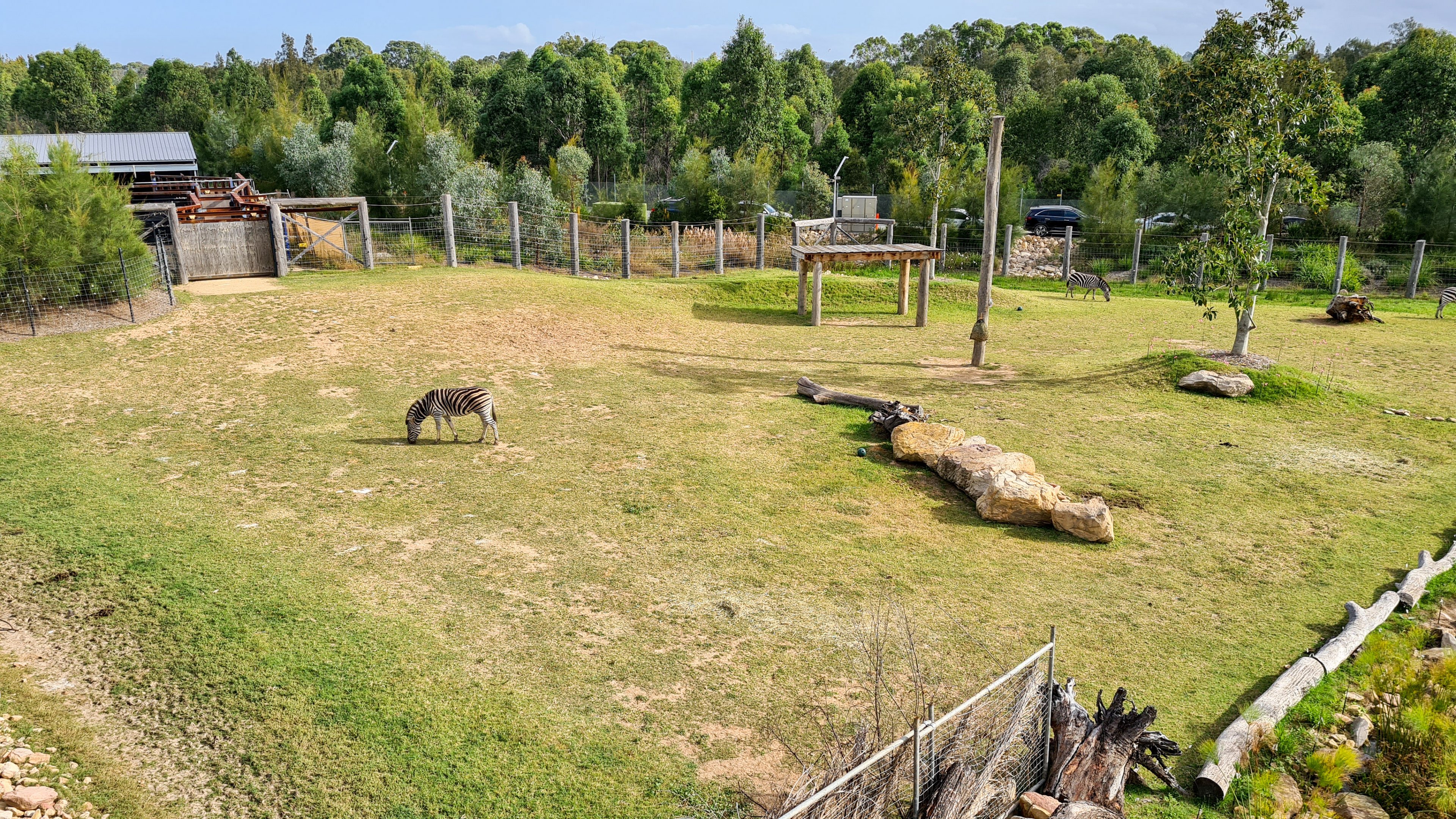 Zebra enclosure