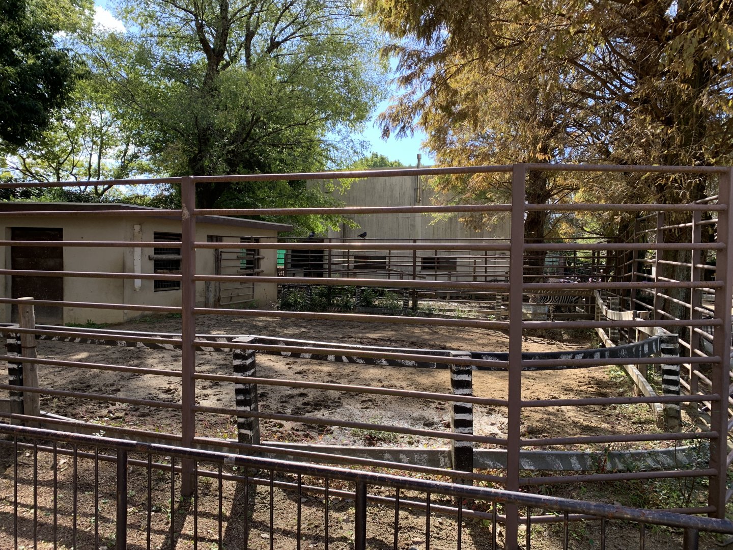 Zebra Enclosures (Himeji City Zoo)