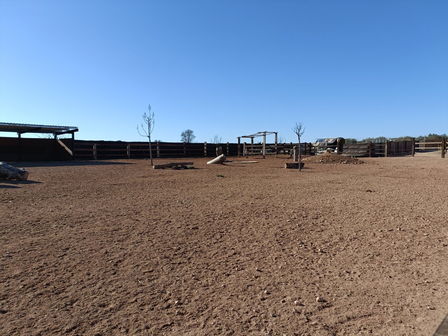 Zebra exhibit - Bioparque La Rocha