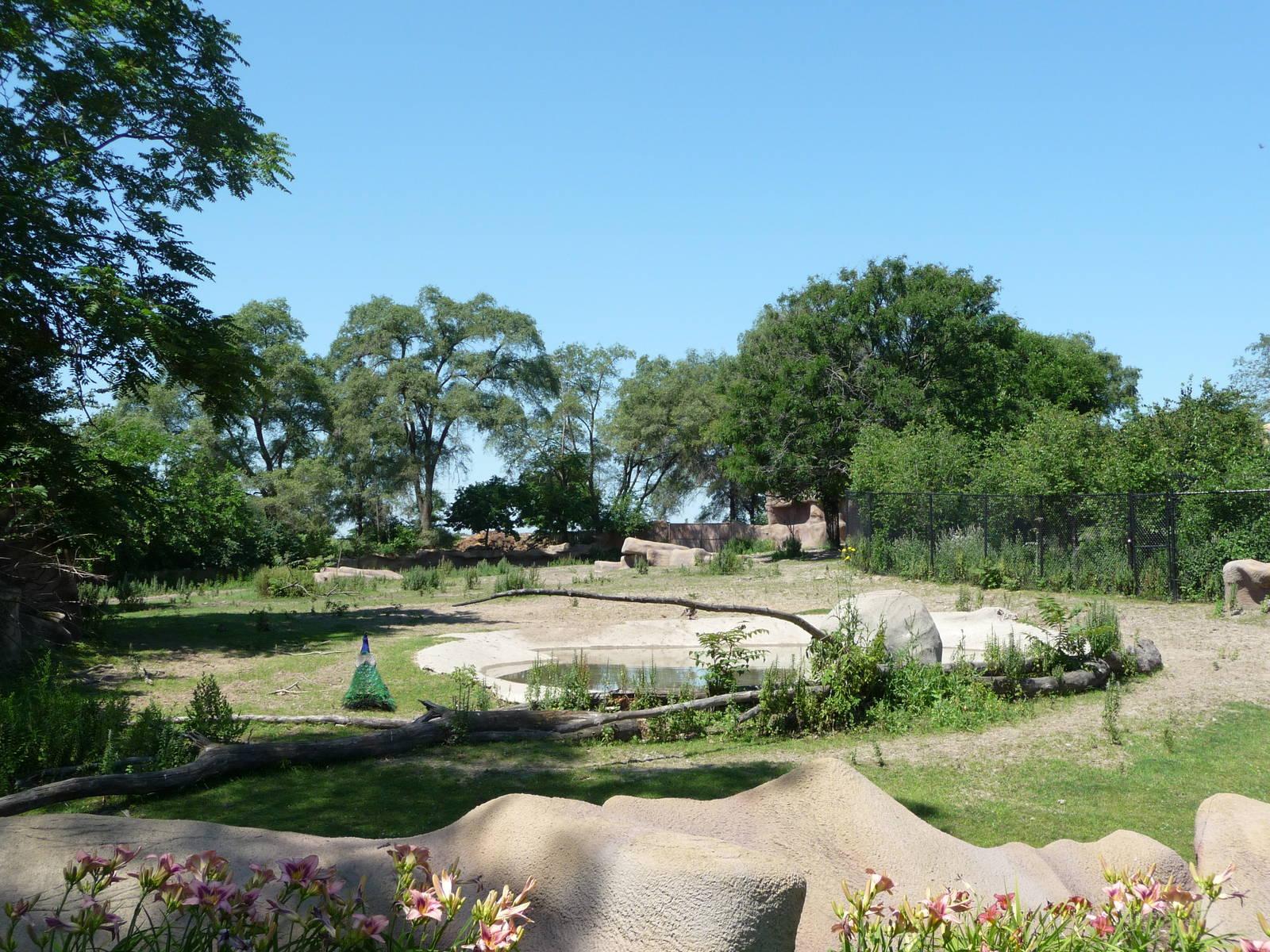 Zebra Exhibit - Detroit Zoo