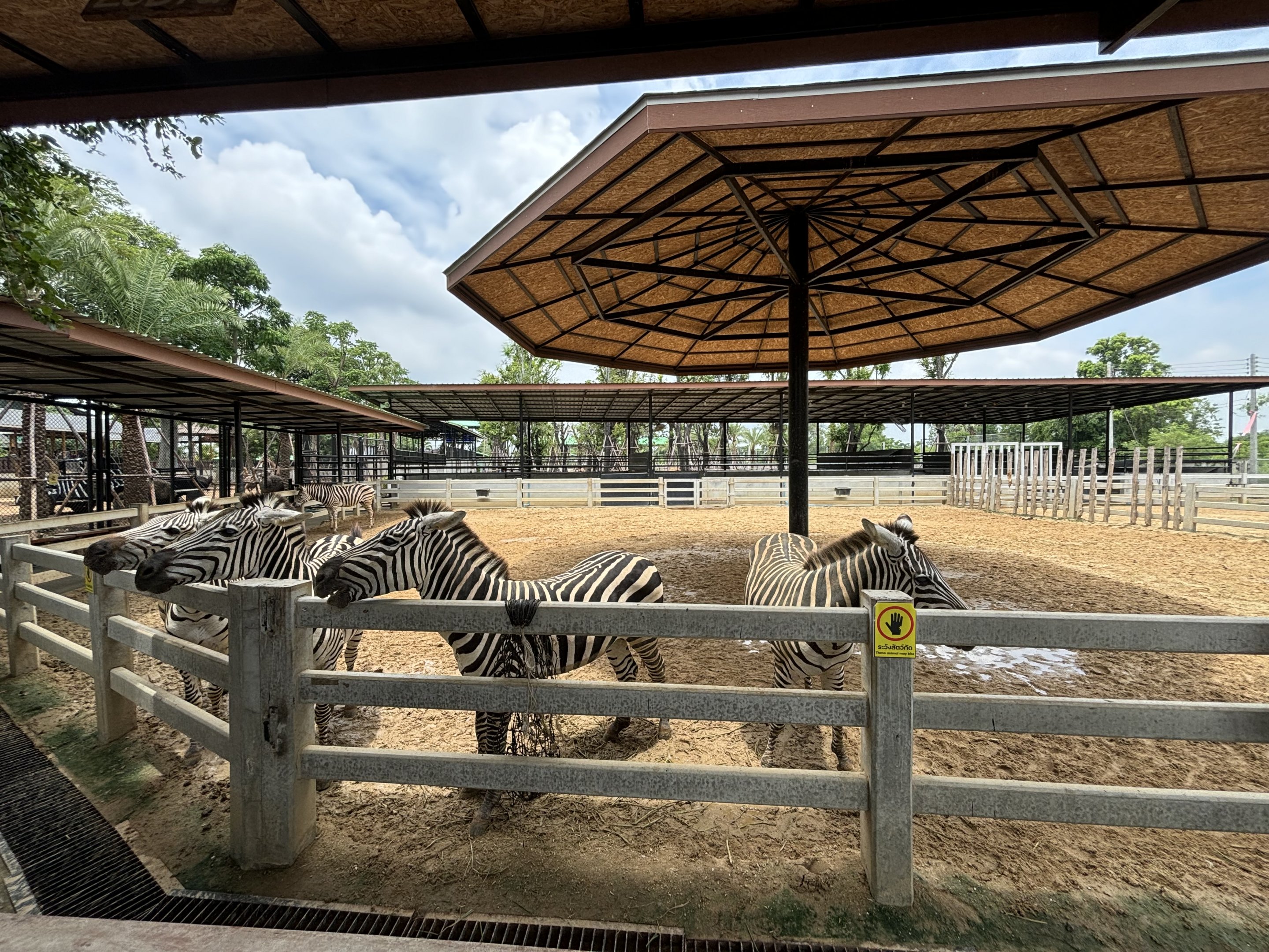 Zebra Exhibit - Lion Park