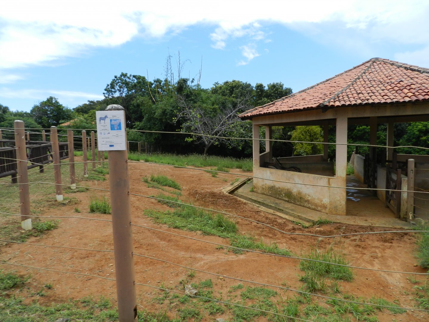 Zebra exhibit - Salvador zoo (PZGV)