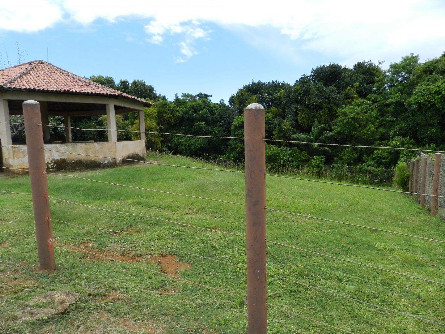 Zebra exhibit - Salvador zoo (PZGV)