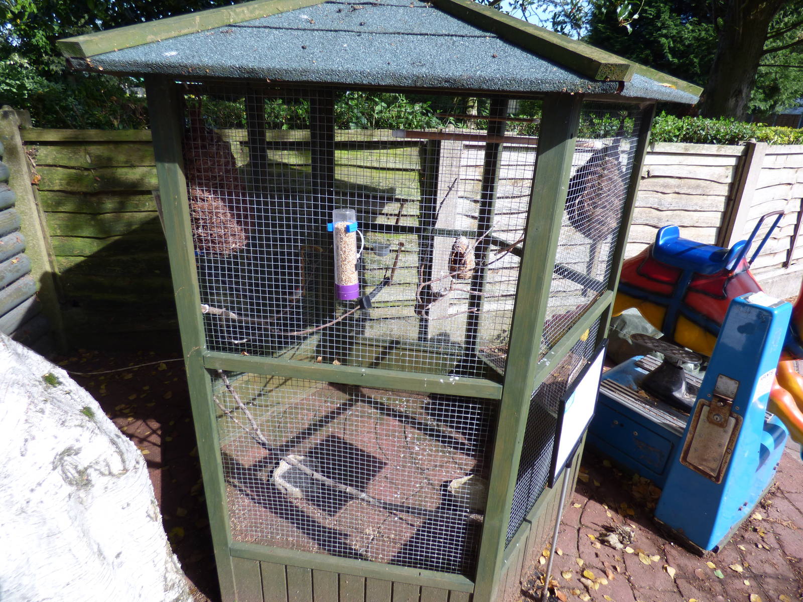 Zebra Finch Aviary by Entrance