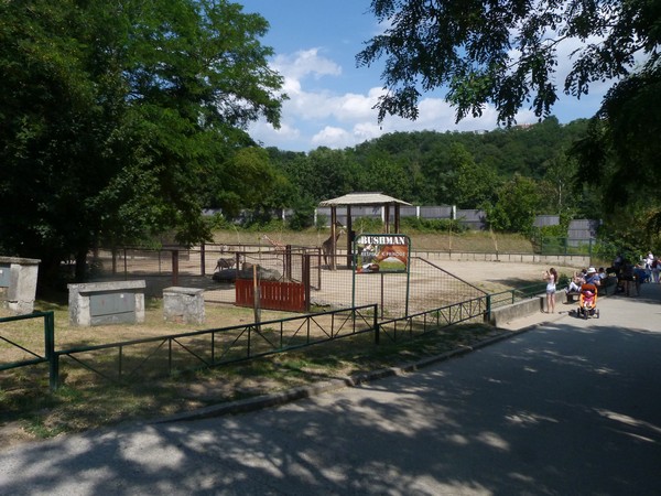 zebra/giraffe exhibit