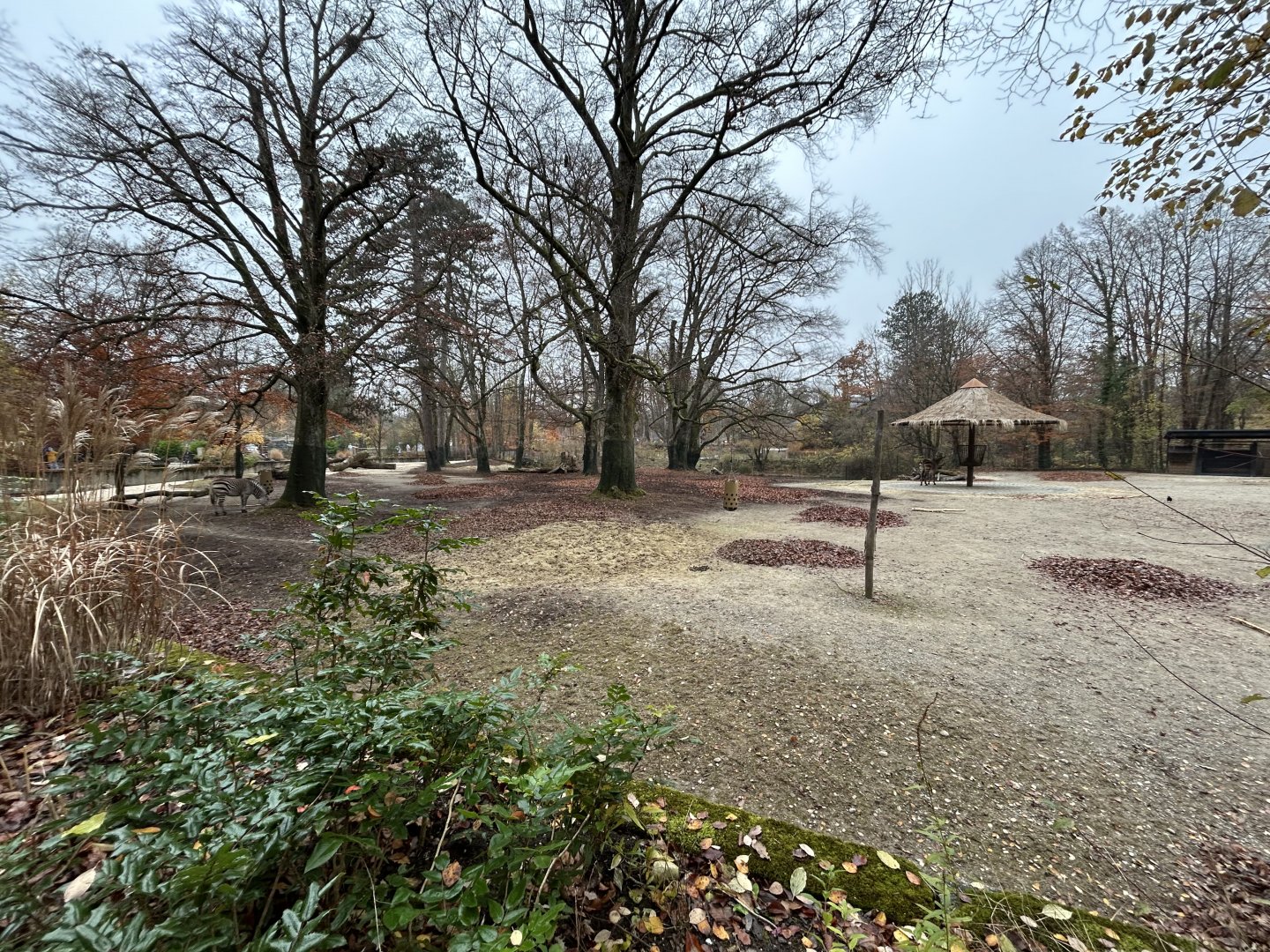 Zebra & Greater Kudu Exhibit