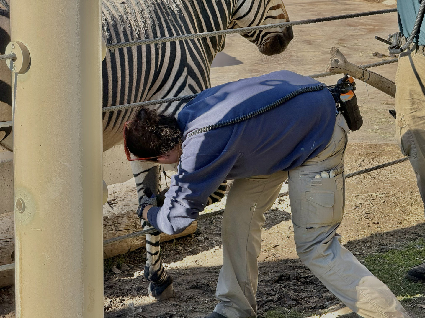 Zebra Hoof Care - Lodge Yard - High Desert Oasis