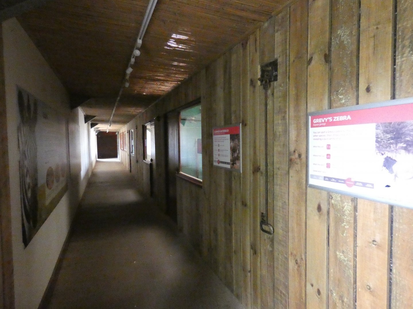 Zebra house viewing area