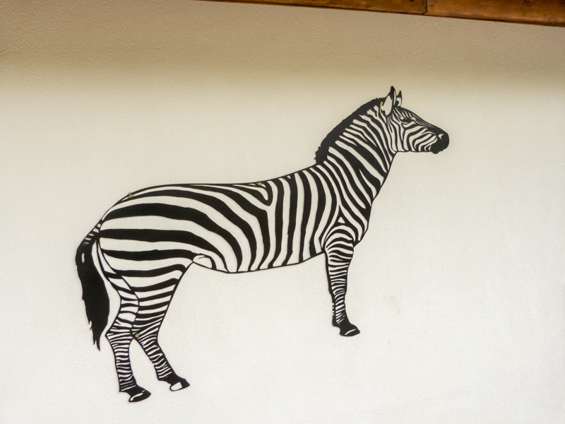 zebra house