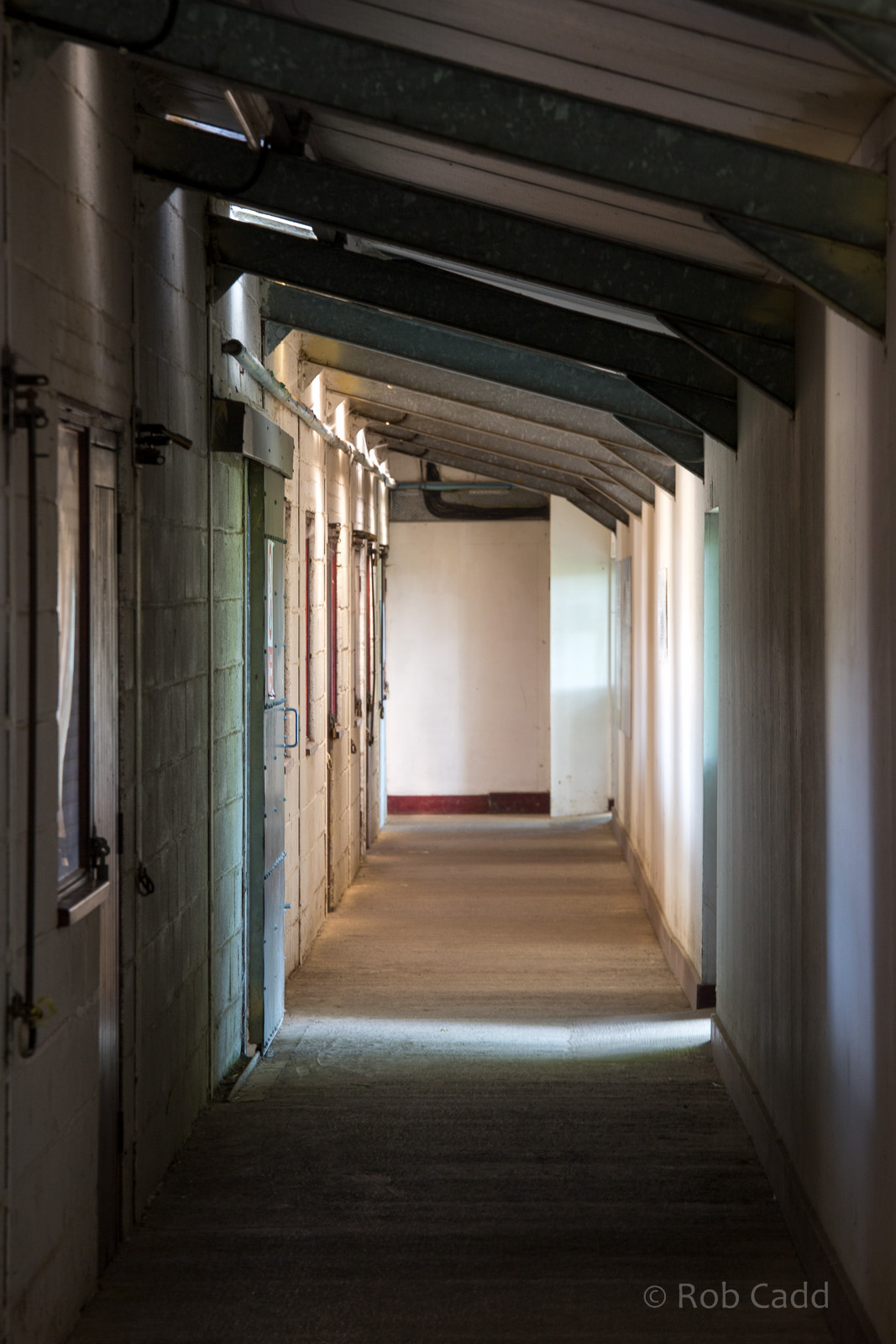 Zebra housing (corridor) : Whipsnade : 22 Jun 2014