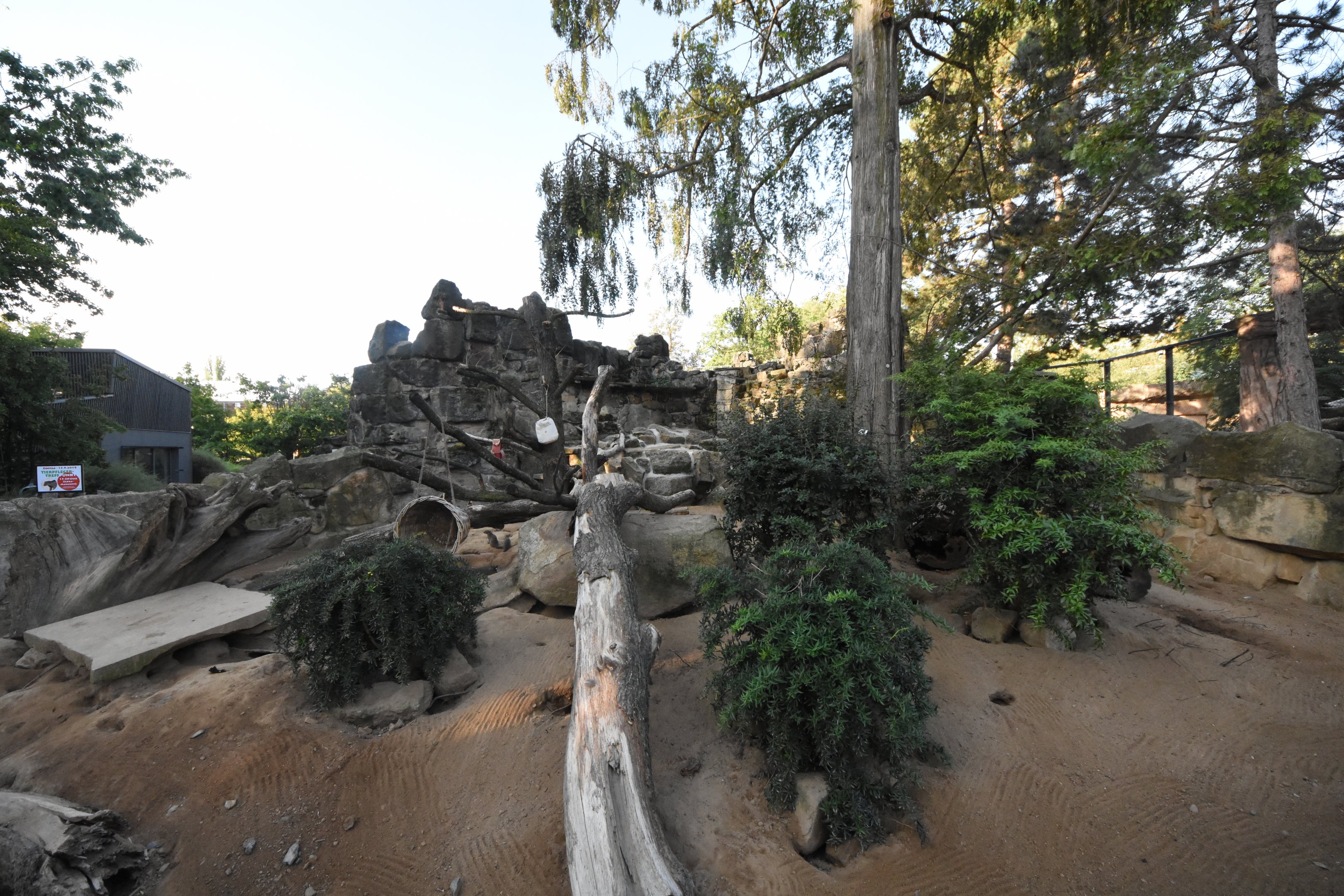 Zebra mongoose enclosure