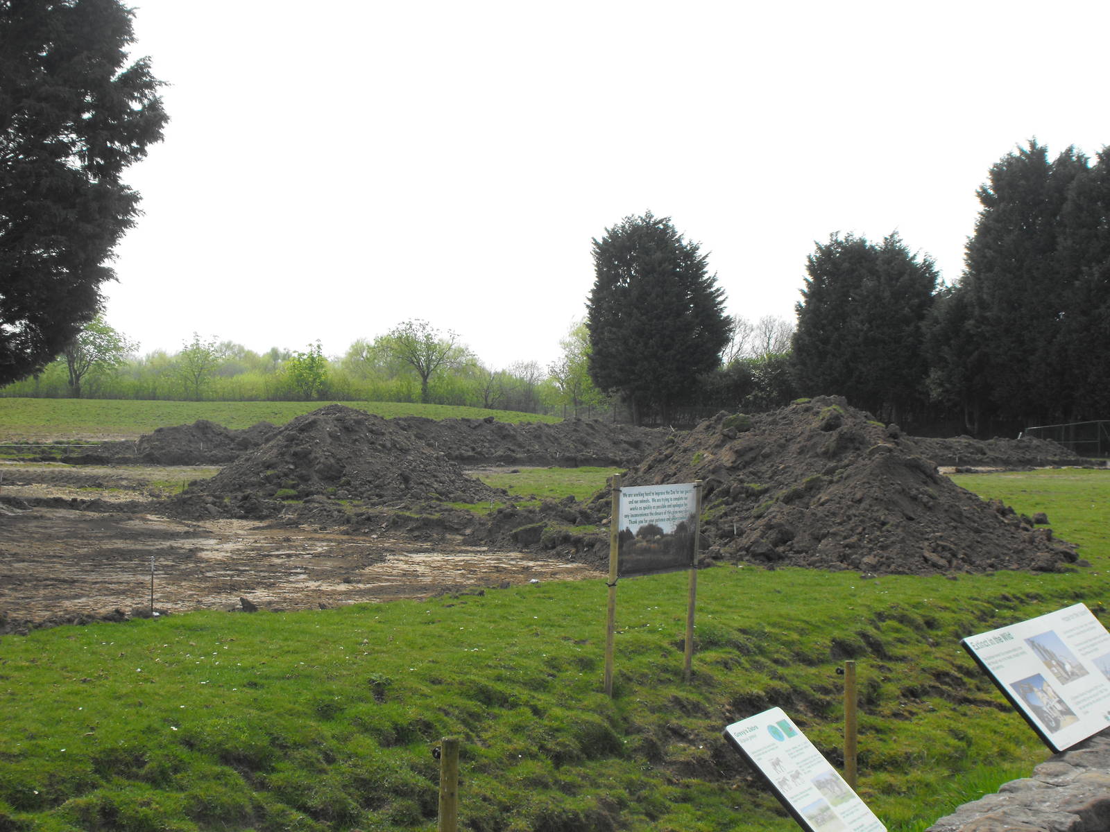 Zebra/Oryx Enclosure Work