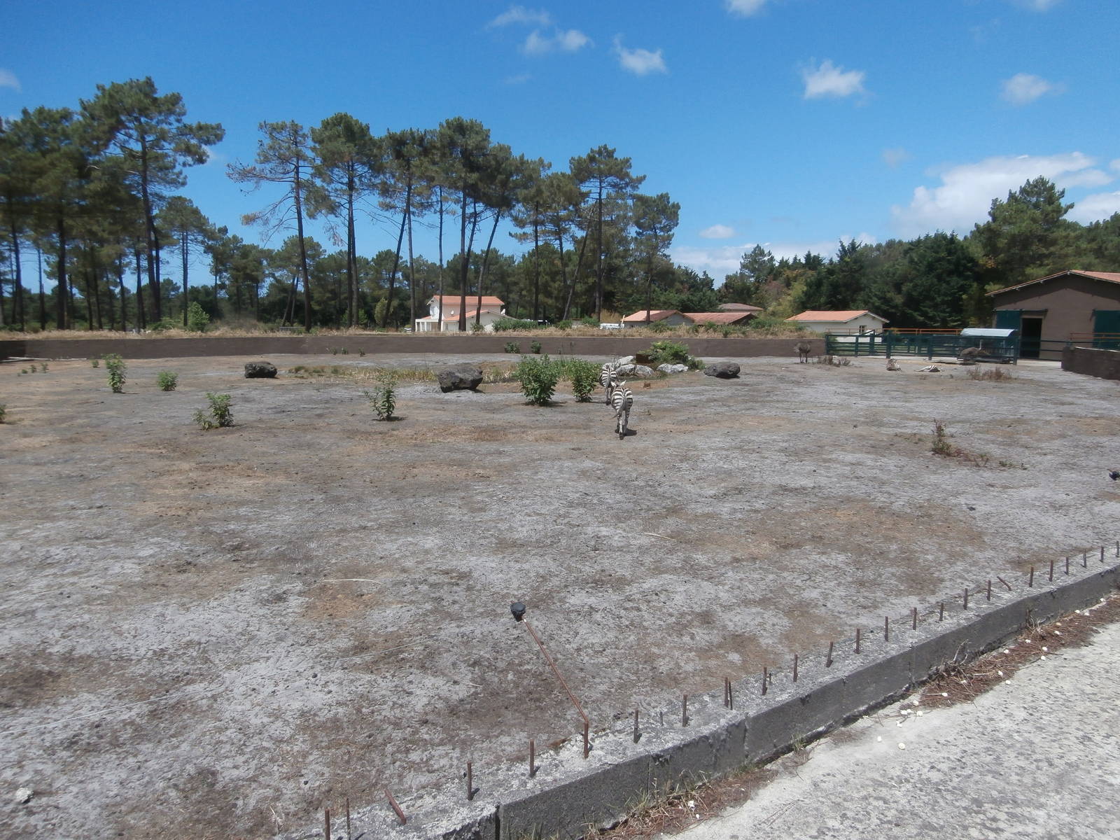 Zebra/ostrich enclosure