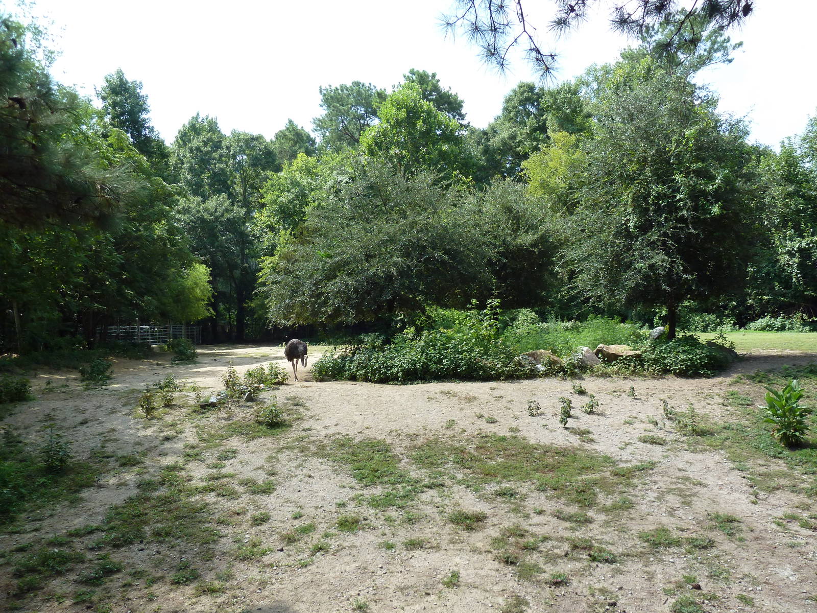 Zebra/Ostrich Exhibit