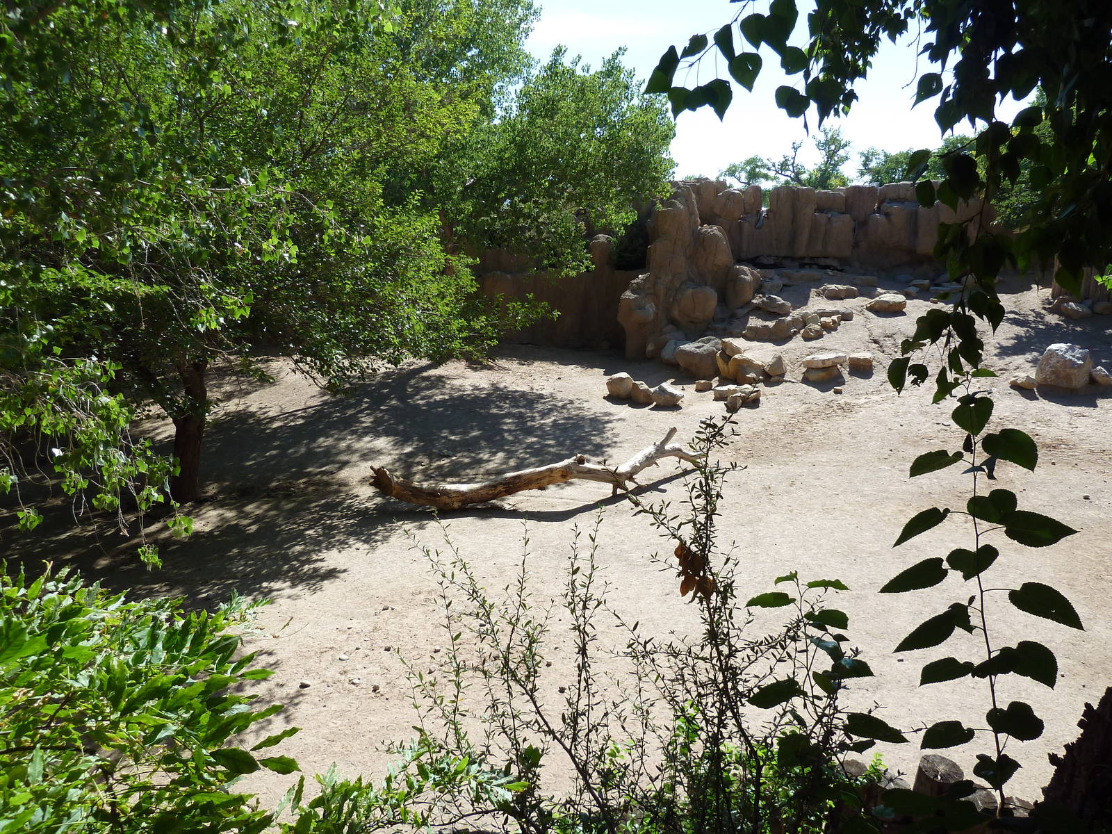 Zebra/Ostrich Exhibit
