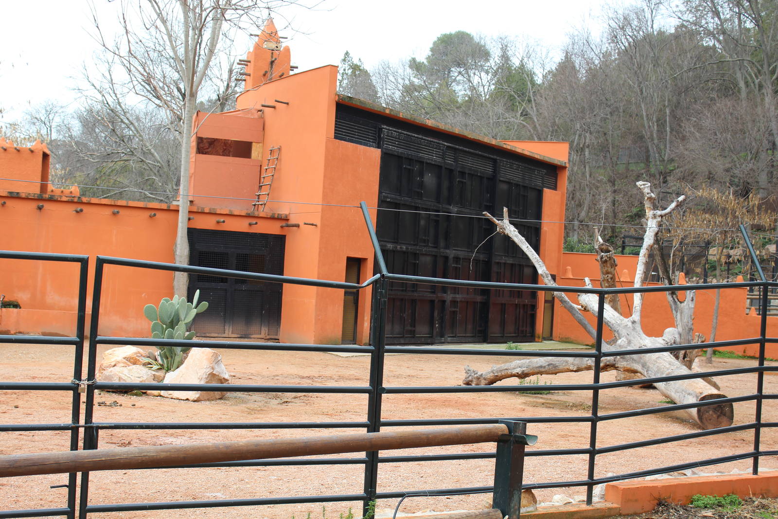Zebra, Ostrich & Wildebeest Enclosure and House