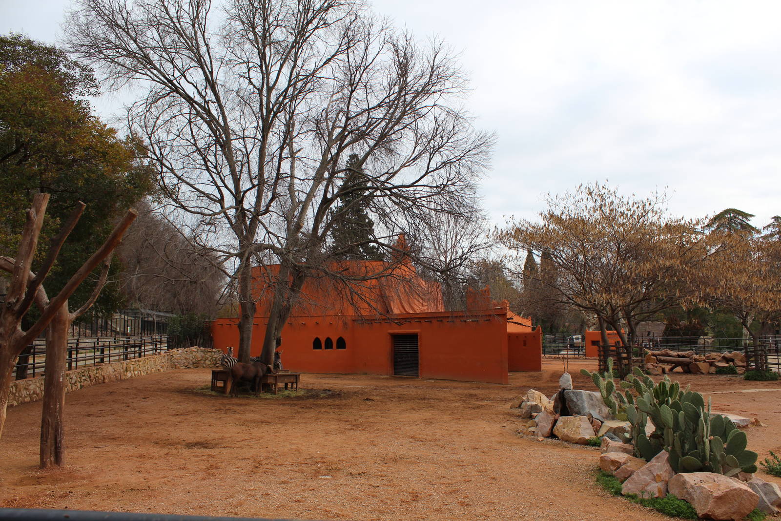 Zebra, Ostrich, Wildebeest Enclosure - Jan 2014