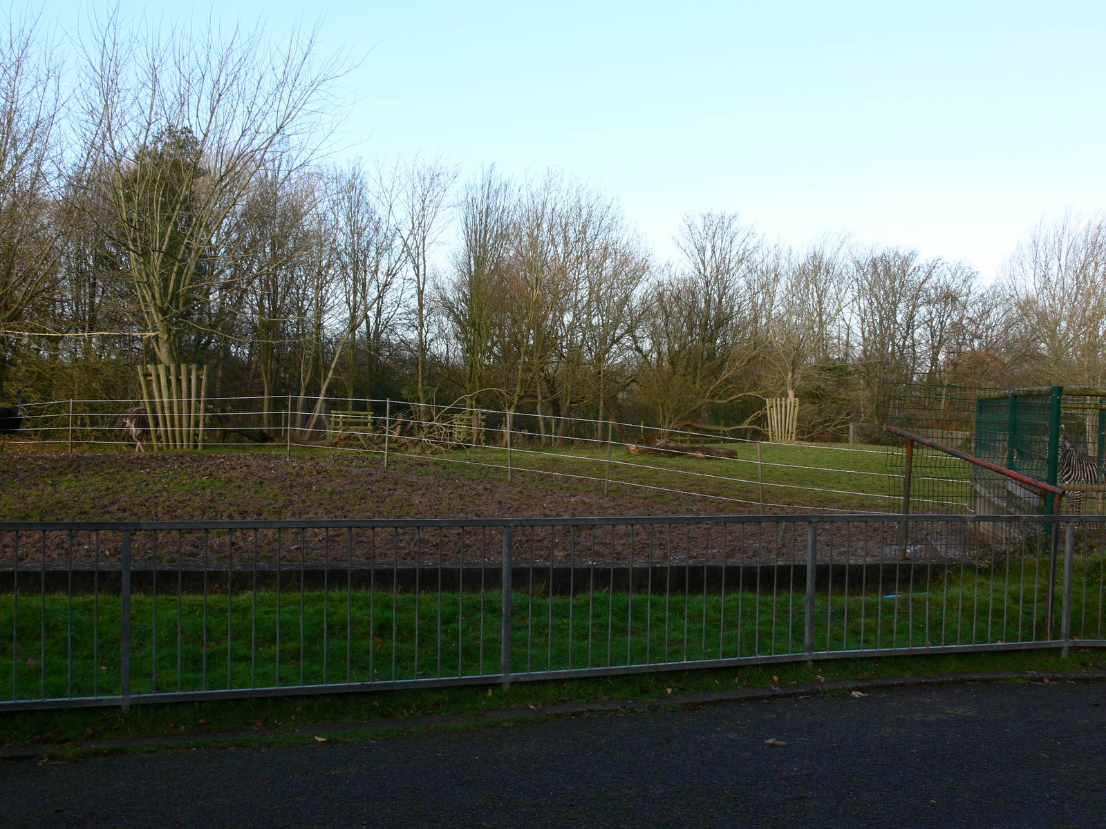 Zebra Paddock at Blackpool Zoo, 09/12/12