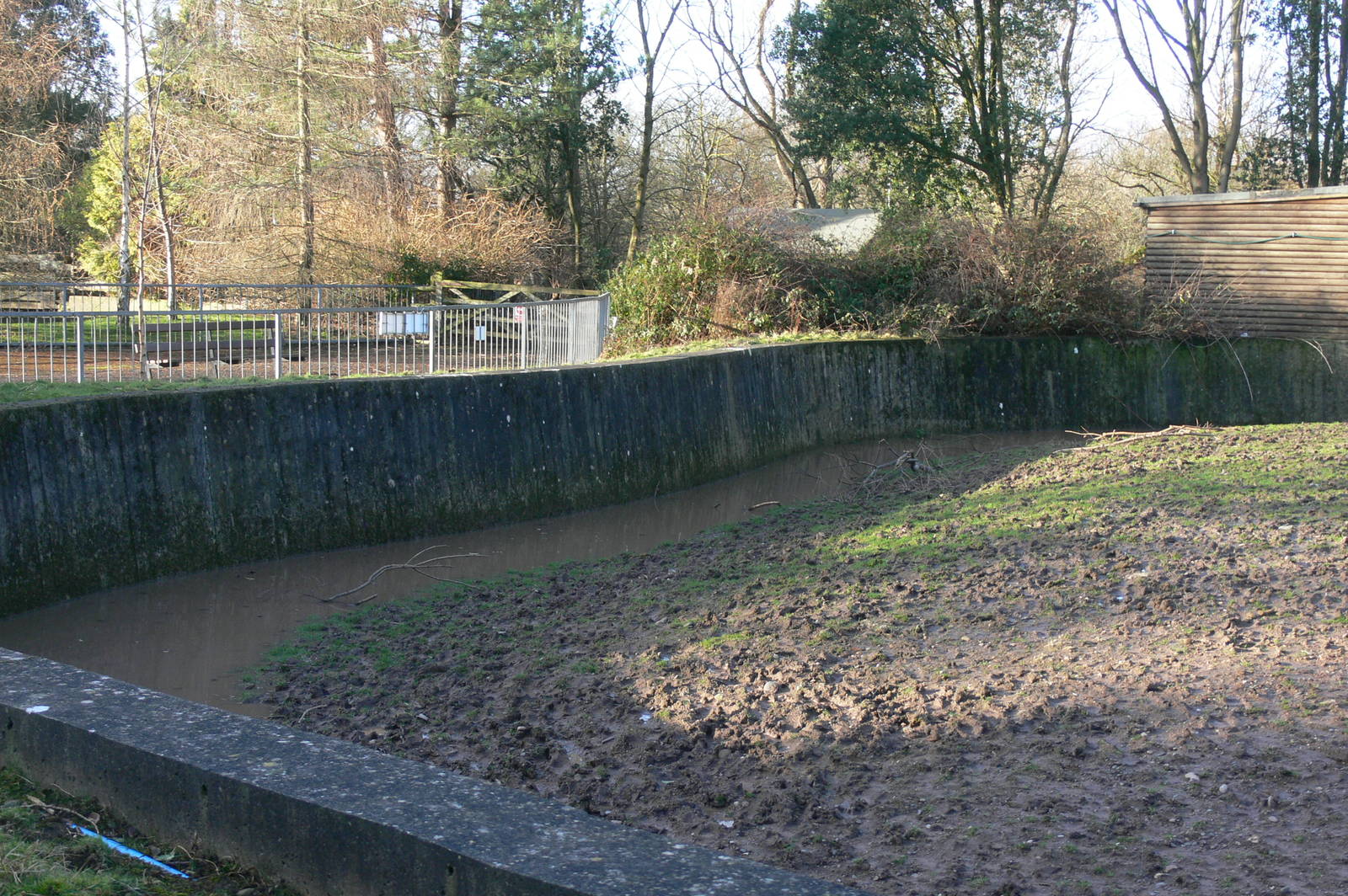 Zebra Paddock at Blackpool Zoo, 15/01/15