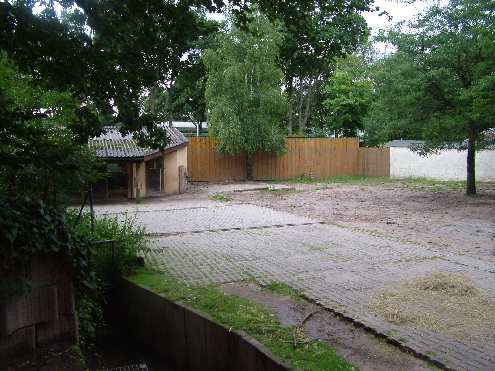 Zebra Paddock at Darmstadt, 30/08/10