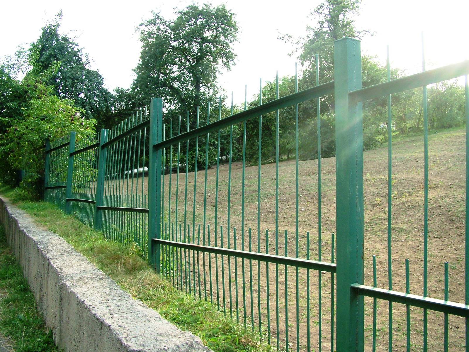 Zebra Paddock at Usti, 29/08/12