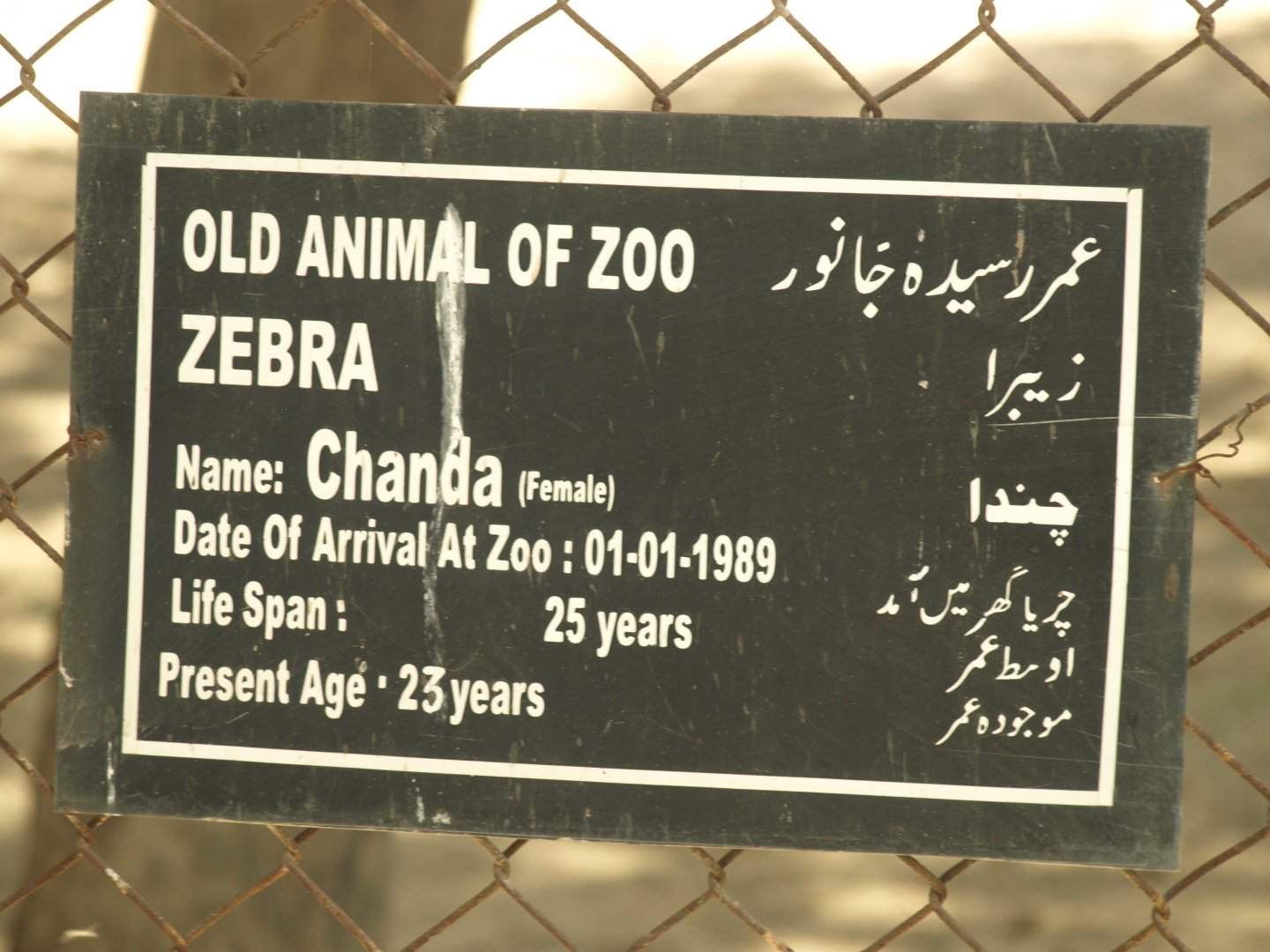 Zebra sign - Lahore zoo 8/4/2017