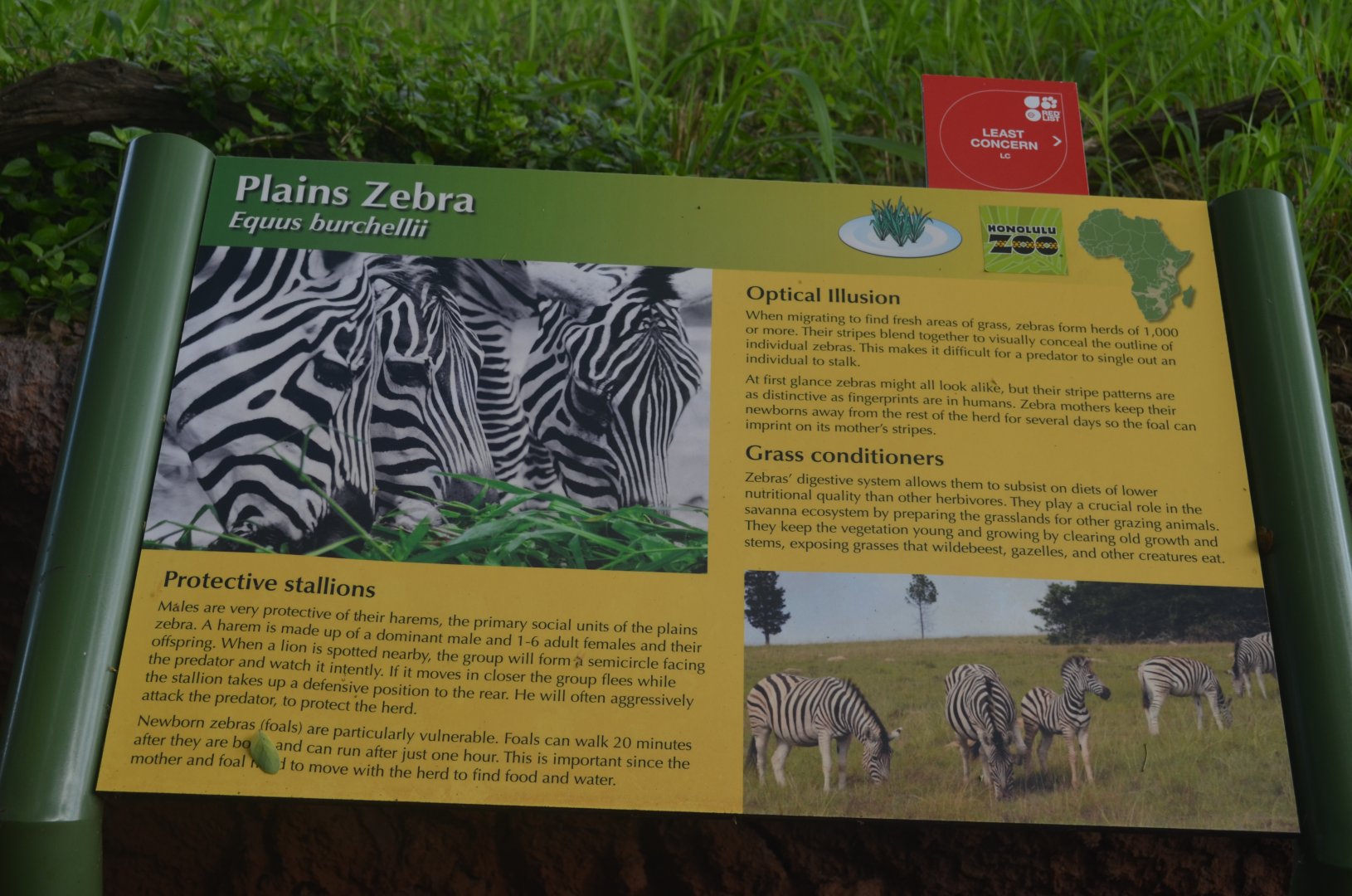 Zebra Signage