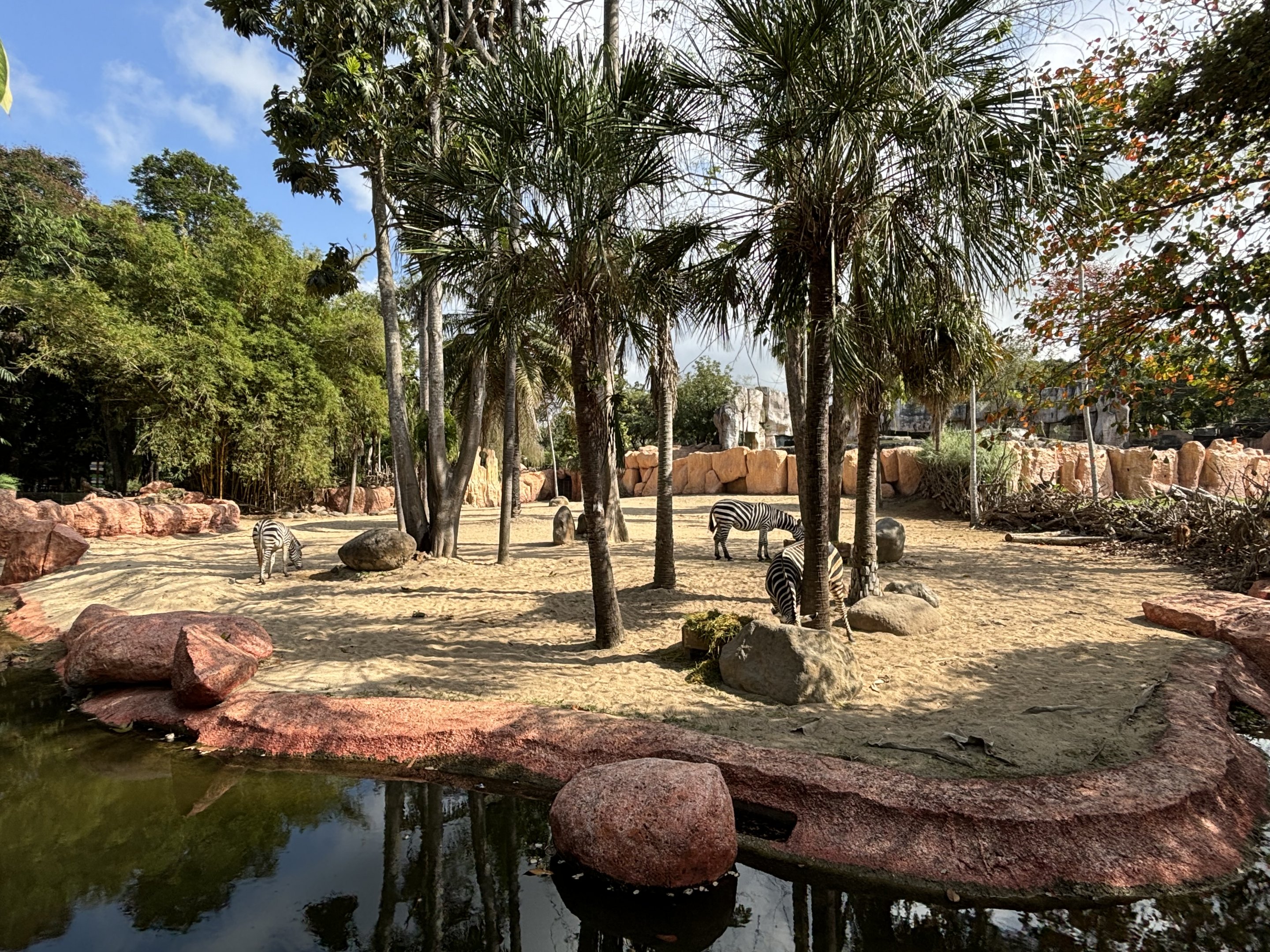 Zebra + Sitatunga Exhibit