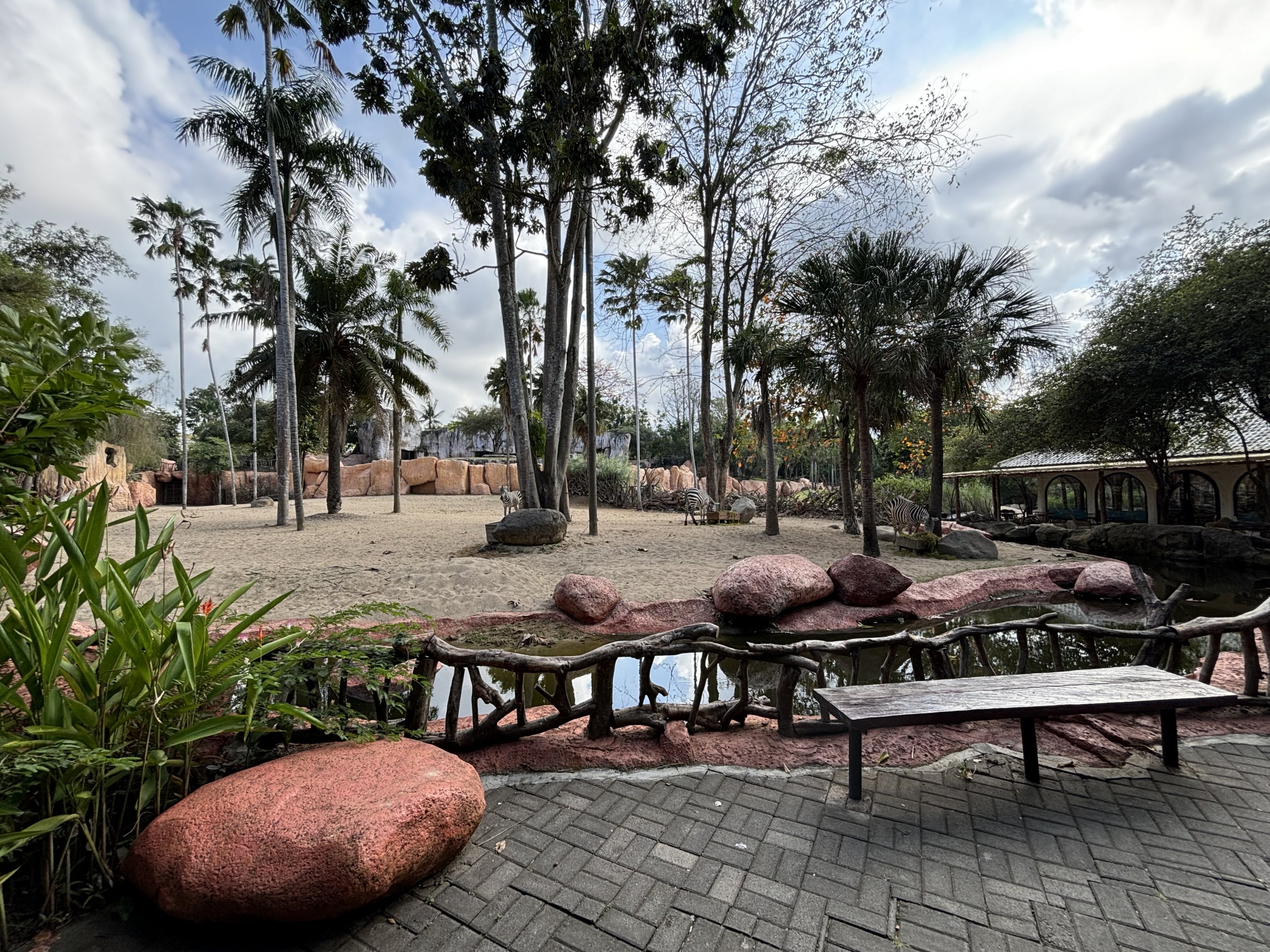 Zebra + Sitatunga Exhibit