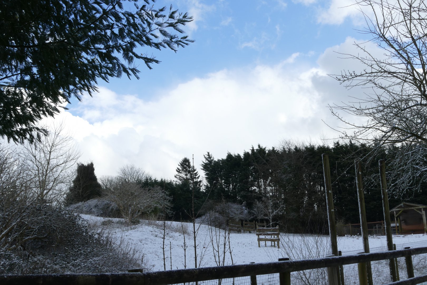 Zebra ski slope, 28 February 2018