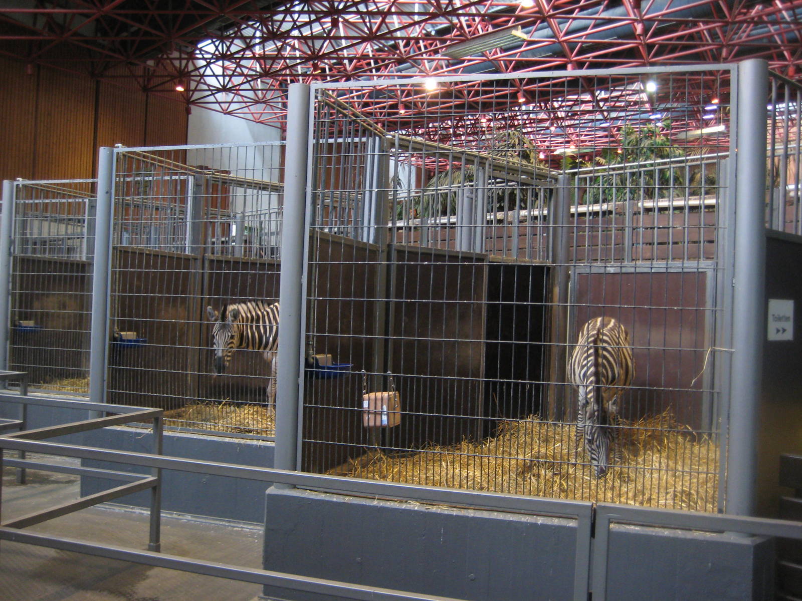 Zebra stalls
