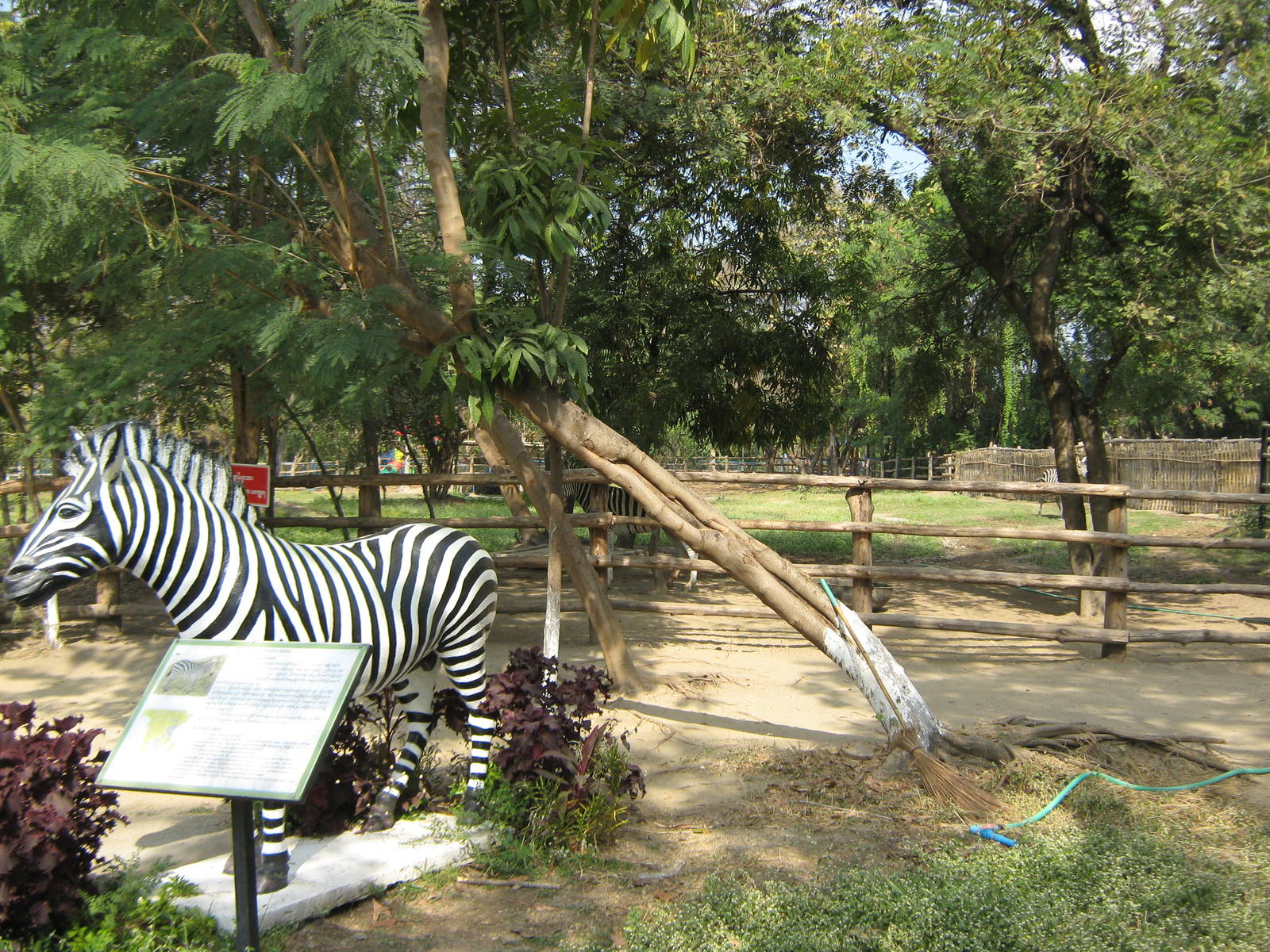 zebra statue