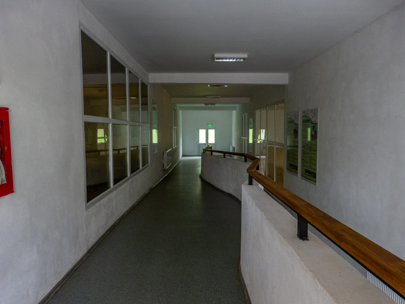 zebra / Struthioniformes house