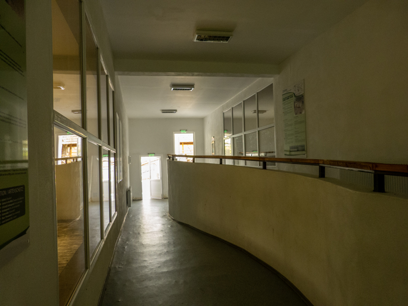 zebra / Struthioniformes house